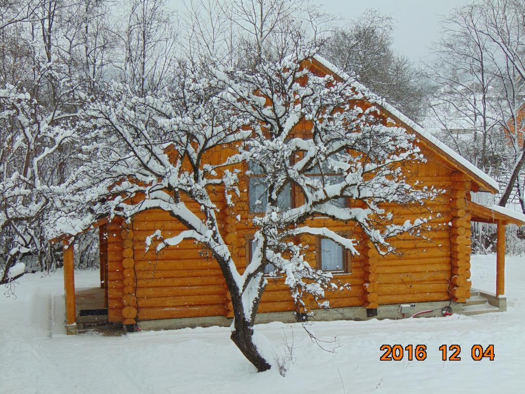 Casutele Din Moisei Hotel ภายนอก รูปภาพ