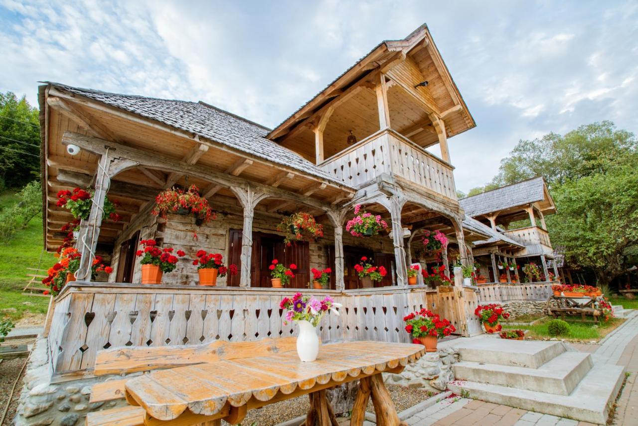 Casutele Din Moisei Hotel ภายนอก รูปภาพ