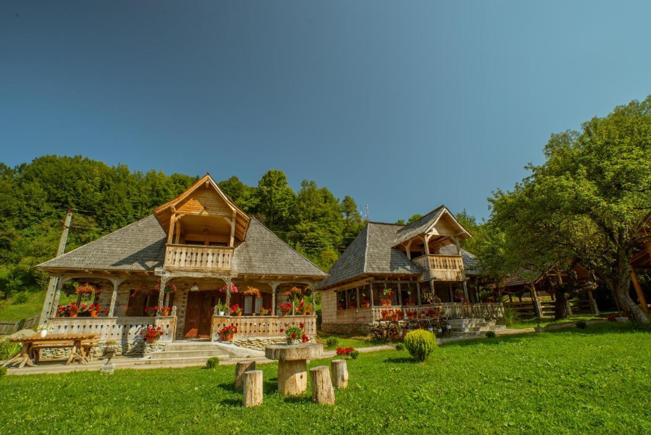 Casutele Din Moisei Hotel ภายนอก รูปภาพ